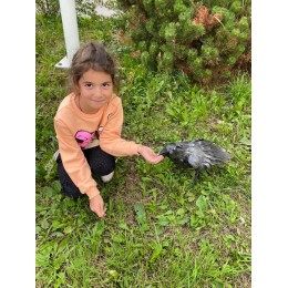 Ворон из металла Петрасвет S4031